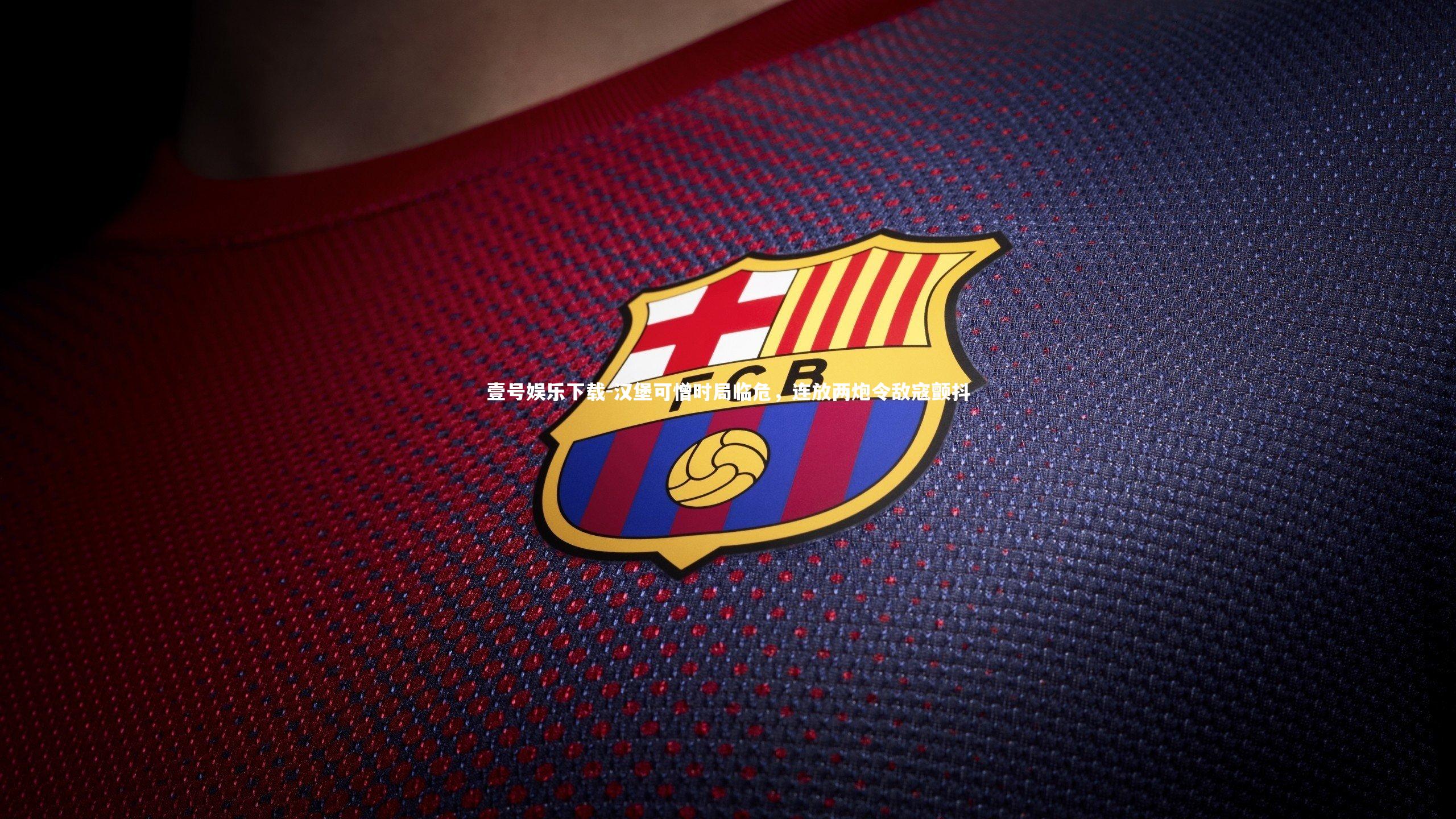 壹号娱乐下载-汉堡可憎时局临危,连放两炮令敌寇颤抖